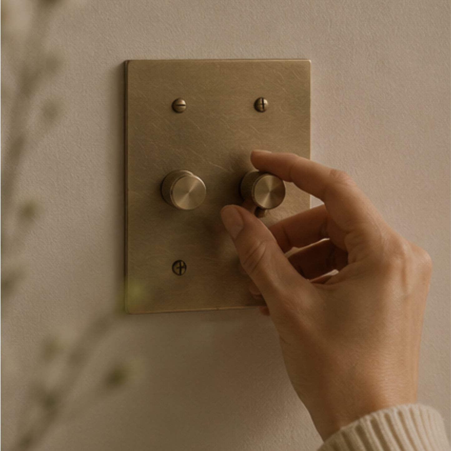 Double brass dimmer switch installed in a contemporary home.